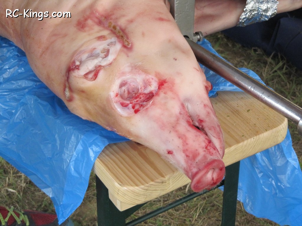 tn_monster mania 2011 (31).jpg